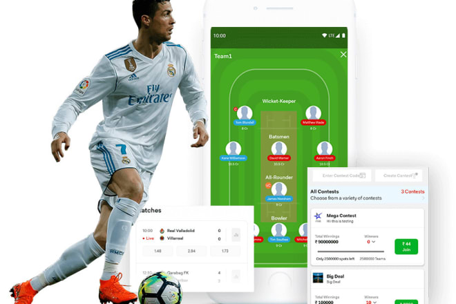 I will develop white label fantasy football app like NFL,ncaa and dream 11