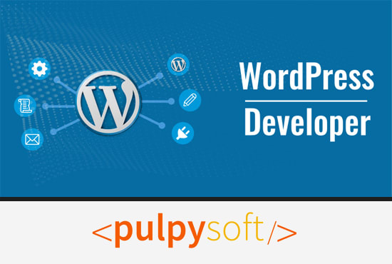 I will develop wordpress website and plugin, PHP codeigniter, laravel, core