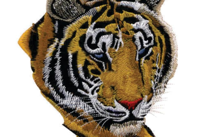 I will digitize good embroidery design for you in wilcom