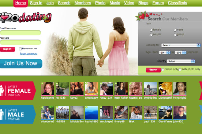 I will do a profitable dating website for newbies