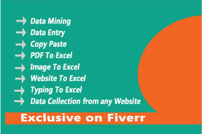 I will do excel data entry, copy paste, typing, and data collection from any website