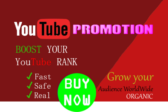 I will do organic youtube video promotion through social media