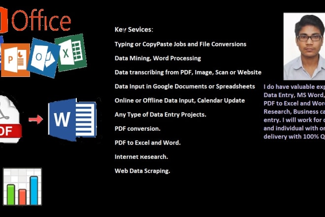 I will do perfect data processing job using ms office applications