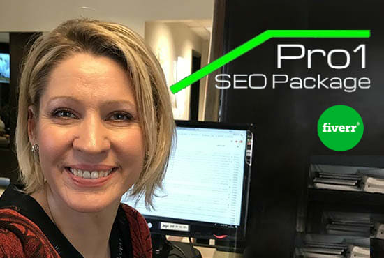 I will do pro1 SEO package and explode your ranking