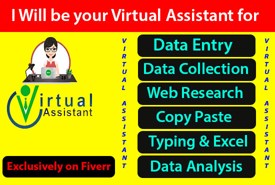 I will do web research freelancing based on data entry on ms excel