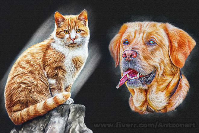 I will draw realistic portrait cat, dog, animal or any pets in oil paint