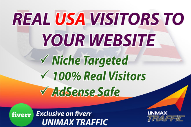 I will drive USA niche targeted unique web traffic real visitors