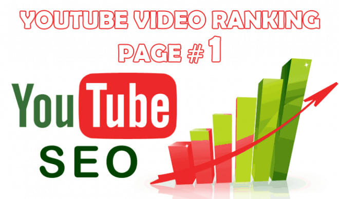 I will embed your youtube video into 2500 web2 sites to get video ranking