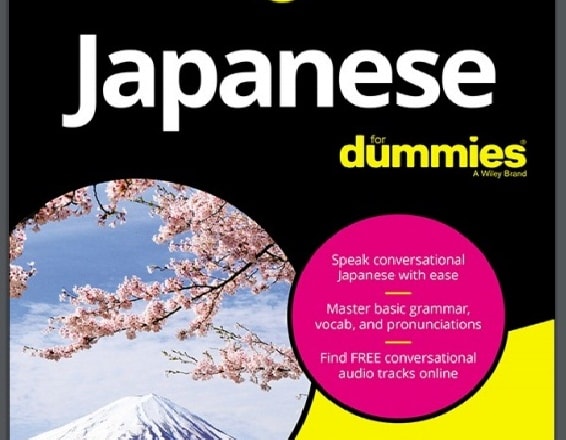 I will give you two pdf of the book japanese for dummies 3rd and 2nd edition