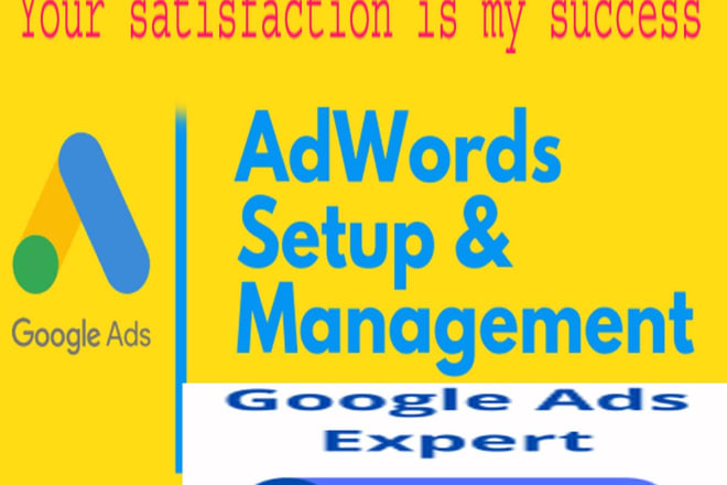 I will google adwords campaign management
