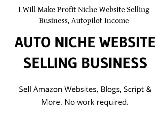 I will make profit niche website selling business, autopilot income