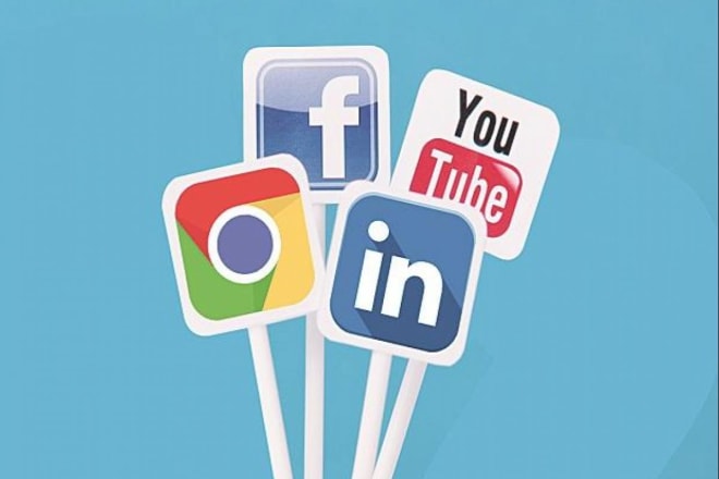 I will manage your professional social media handel