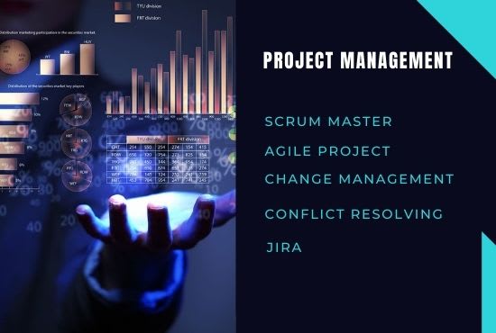 I will provide a project management system