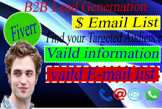 I will provide b2b lead generation SEO