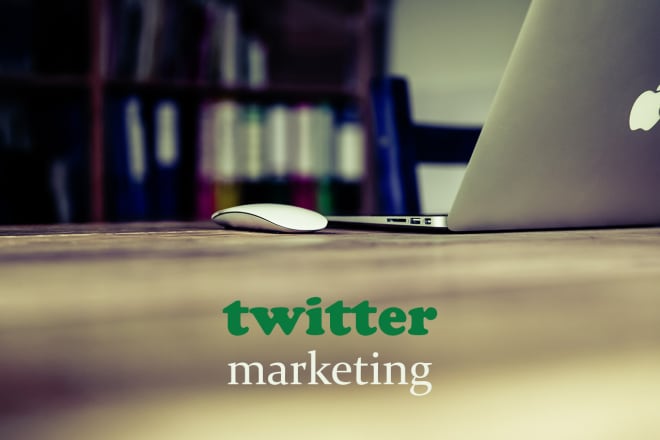 I will provide natural twitter marketing services