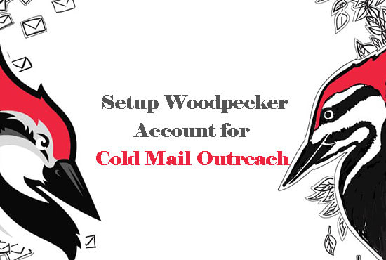 I will setup cold email outreach platform woodpecker