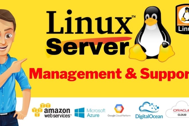 I will setup or fix linux server,vps,AWS,email server, etc any issues
