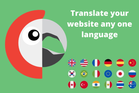 I will transfer multilingual languages website polylang
