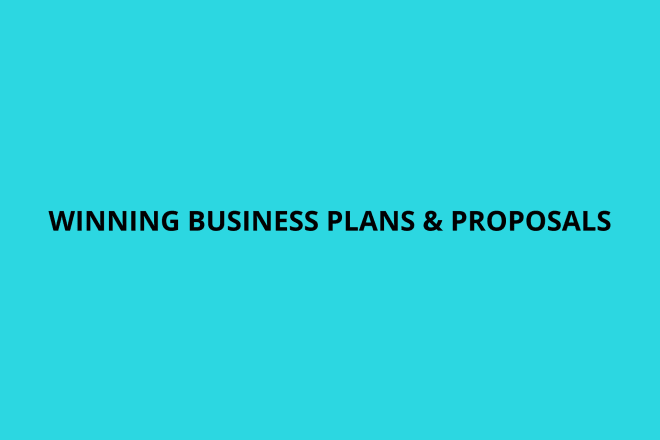 I will write a winning startup business plan or proposal