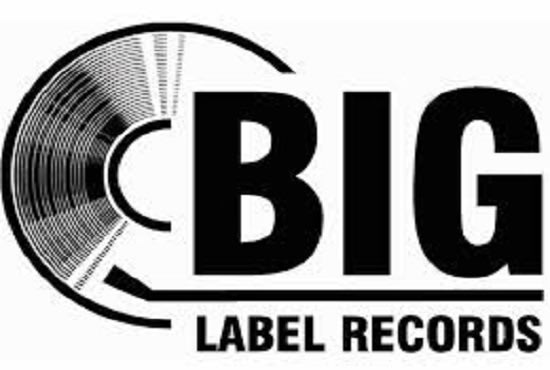 I will broadcast your music to 1000 record label