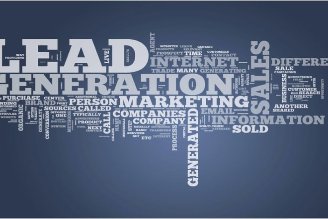 I will collect targeted b2b leads or consumer database for you