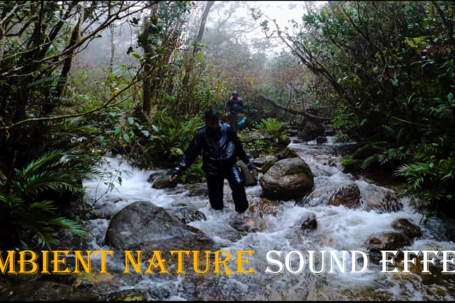 I will provide ambient nature sound effects for commercial use