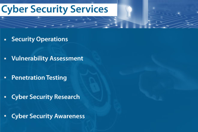 I will be your cyber security consultant and provide you cyber security services