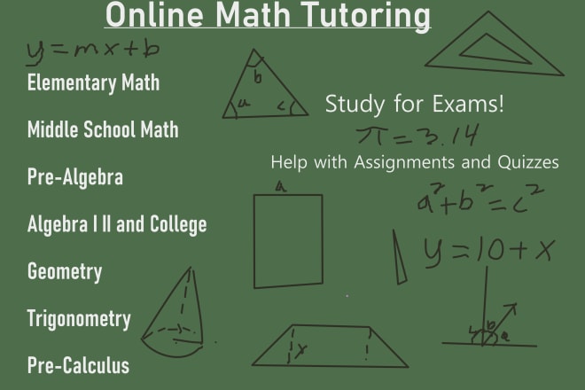 I will be your online tutor for any math through calculus 1