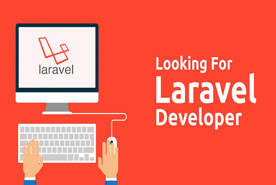 I will be your php and laravel developer