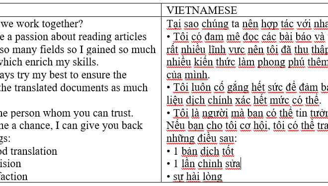 I will be your right english vietnamese translator