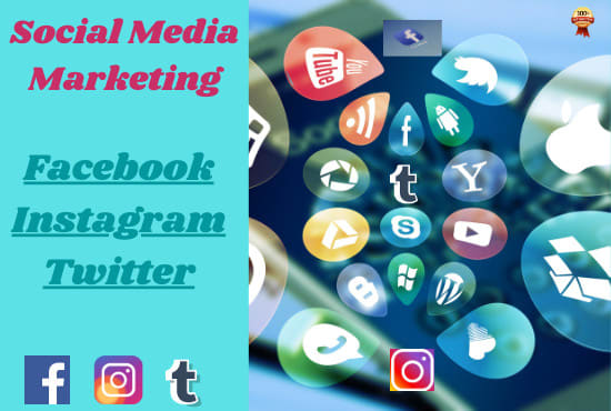 I will be your social media marketing manager with 2 posts per day