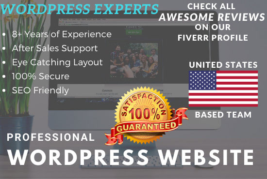 I will build and design professional responsive wordpress website
