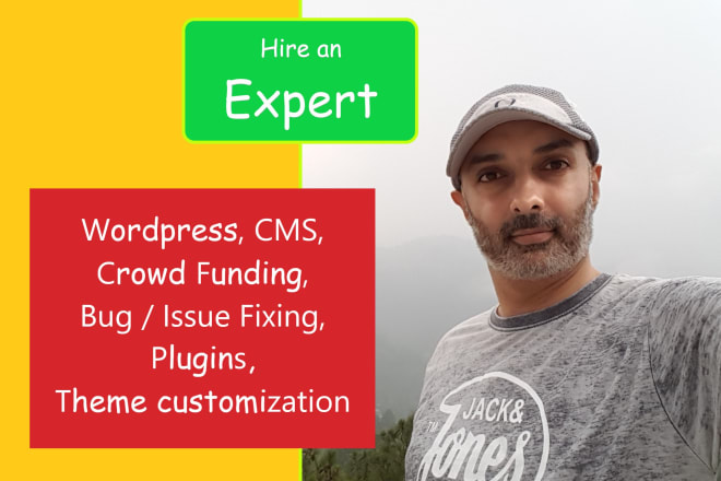 I will build custom wordpress website, cms, database, crowd funding site, plugin, theme