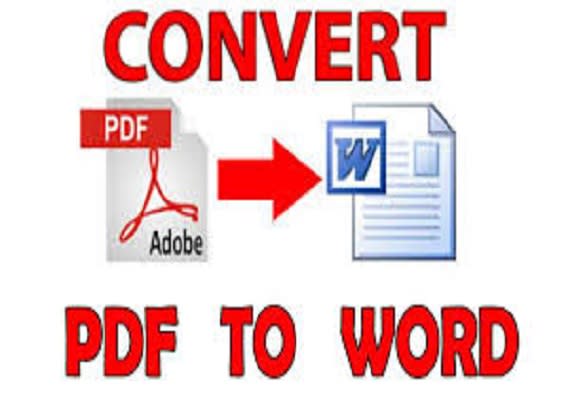 I will convert pdf,jpg,jpeg,image,ocr,scan to exel or word