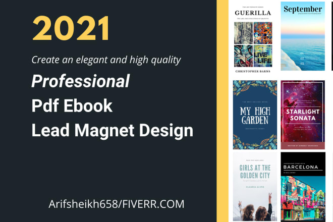 I will create professional pdf ebooks and lead magnet designs
