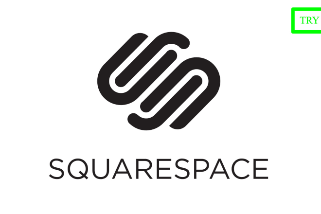 I will custom code squarespace website