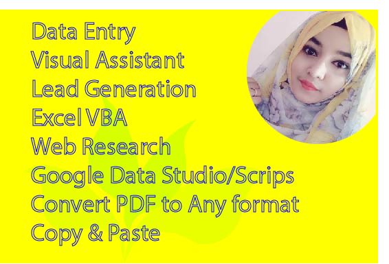 I will data entry, lead generation, excel vba, convert file