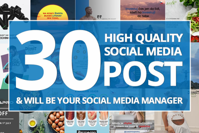 I will design 30 high quality social media posts