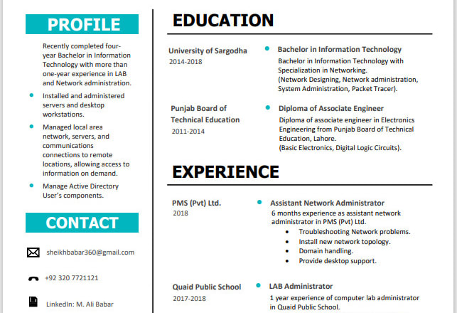 I will design a graphic resume, cv from existing profile