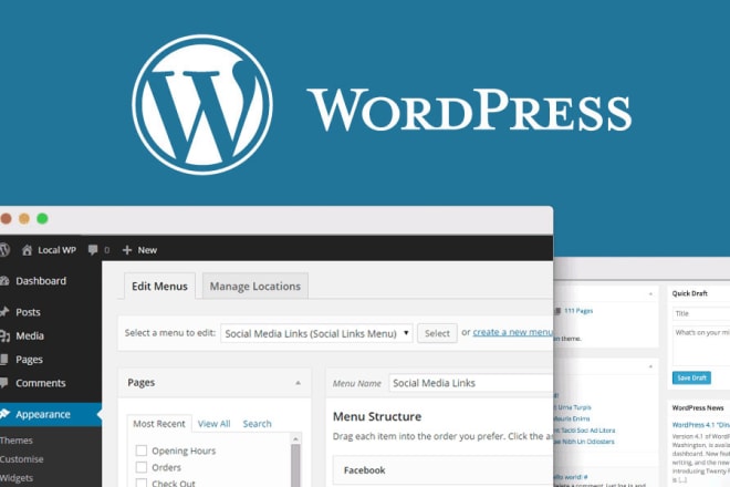 I will design and build wordpress website optimized for PC and mobile