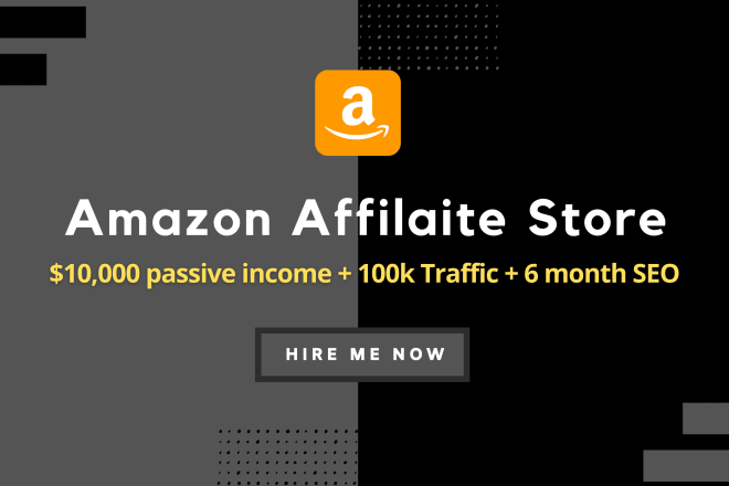 I will design autopilot amazon affiliate website with 6 months SEO