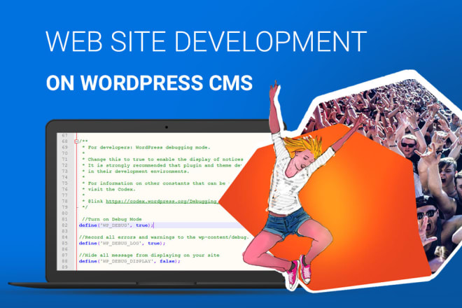 I will develop professional web site on wordpress cms