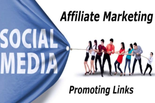 I will do affiliate link promotion, clickbank, amazon, teespring, digistore marketing