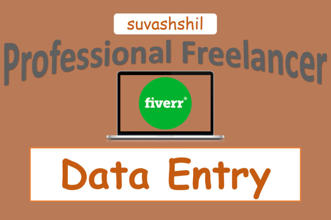 I will do any type of data entry work