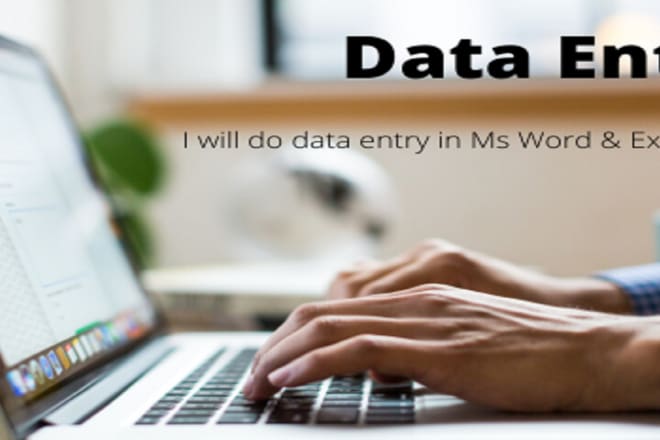 I will do data entry offline job