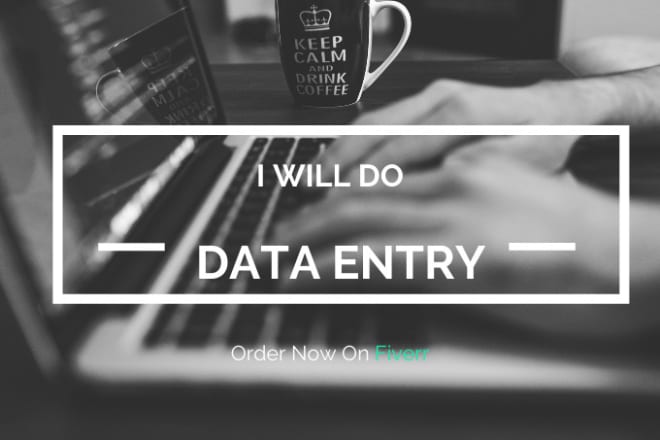 I will do data entry,typing,copy paste,web research accurately