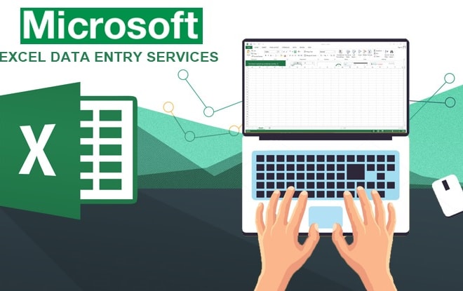 I will do excel data entry jobs for you
