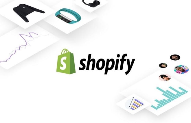 I will do niche targeted shopify promotion, ecommerce marketing to boost shopify sales