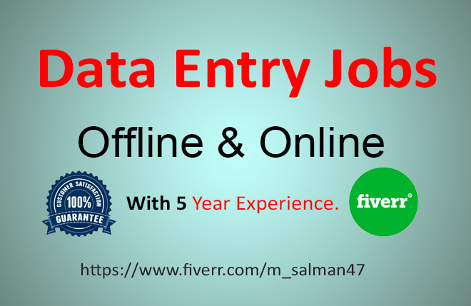 I will do online and offline data entry jobs