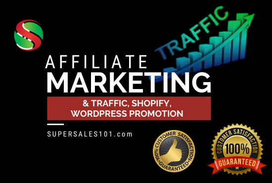 I will do organic music spotify promotion shopify web traffic for affiliate marketing